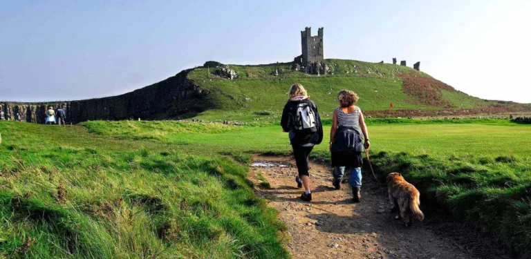 Dog Friendly Holidays In Northumberland | Luxury Group Stay