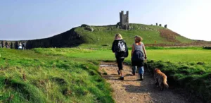 Dog Friendly Holidays In Northumberland