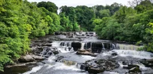 things-to-do-in-the-yorkshire-dales