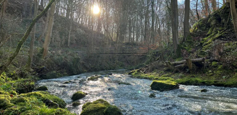 Magic-on-Tap-oak-hall-ovingham-Luxury-Group-Stay